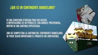 4 PRODUCTOS BAJO CONTINGENTES ARANCELARIOS [upl. by Maples274]