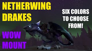 Netherwing Drake World of Warcraft Mount  Six Colors [upl. by Vinna]