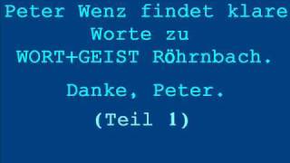 Peter Wenz äußert sich kritisch über WortampGeist Teil 1 [upl. by Lewert]