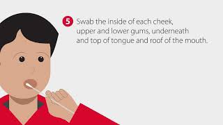 How to Collect a Buccal Swab Sample  StepbyStep Guide [upl. by Gristede]