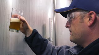 Meet the guy who invents new beers for AnheuserBusch [upl. by Grenier]