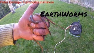 Catching WORMS with electric method⚡⚡⚡ [upl. by Calandra]