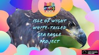 Isle of Wight WhiteTailed Eagle Project [upl. by Aihsined]