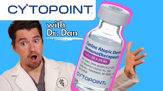 Cytopoint for dogs How Cytopoint works with Dr Dan [upl. by Timrek710]