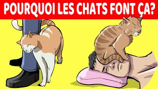 15 Comportements De Chat Les Plus Étranges Expliqués [upl. by Letnohc553]