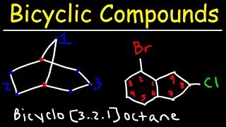 Naming Bicyclic Compounds [upl. by Nerral397]