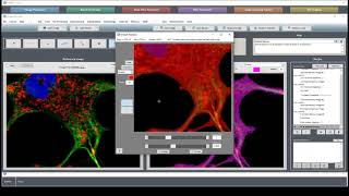 MIPAR Academy 211 Characterizing an Image by Multiple Segmentations [upl. by Rick850]