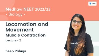 Locomotion and Movement  Muscle Contraction  L2  Medhavi NEET 202223  Seep Pahuja [upl. by Tadashi]