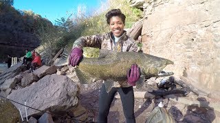 Sistas Catch Salmon in Genesee River  Rochester NY [upl. by Irihs]