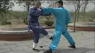 Shaolin Kung Fu Wushu Basic Bo Staff Training Session 1 [upl. by Cand]