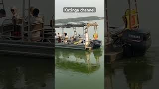 For the best experience book with us on Kazinga channel wildlife uganda [upl. by Ynottirb633]