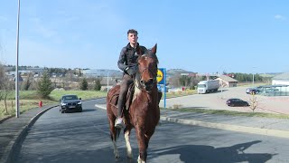 Le gazole lui coûte trop cher il vient au travail à cheval [upl. by Gross]