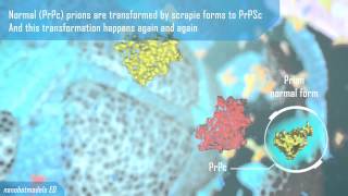 Prion disease animation clip [upl. by Valdes]