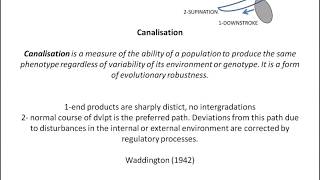 Canalisation part1 [upl. by Cadmarr]