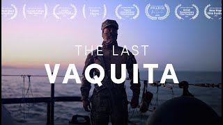 THE LAST VAQUITA  Full documentary HD [upl. by Yllime]