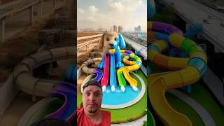 🐶 Evolution of Dog  Waterboom Playground ❤️ Dog Evolution ✅ shorts dog cute puppy [upl. by Lennor]