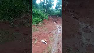 ഉരുൾപൊട്ടൽLandslip [upl. by Casavant41]