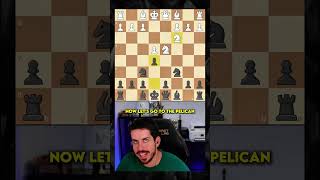 Best Sicilian Defense for Chess Beginners shorts [upl. by Clyte]