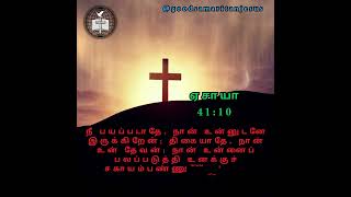 JESUS இயேசு  ஏசாயா 4110  ISAIAH 4110  ABRAHAM JOHN KENNEDY tamilbibleverse [upl. by Yovonnda]