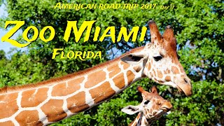 The MiamiDade Zoological Park and Gardens  the largest zoo in Florida USA 🇺🇸 [upl. by Evita]