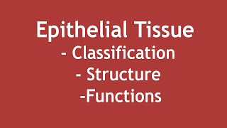 Epithelial Tissue  Classification Structure and Functions ENGLISH  Dr Shikha Parmar [upl. by Rj828]