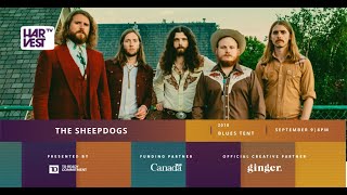 The Sheepdogs  Live 2018 Virtual Harvest presented by TD Ready Commitment [upl. by Torp]