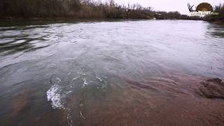 Riverfront Farm  Doniphan Missouri [upl. by Webber821]