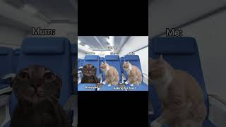 A classic holiday cat fypシ゚viral meme relatable viral pov fyp [upl. by Lew]