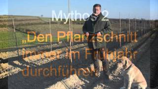 1 Obstbau Mythen  Pflanzung Pflanzzeit u Pflanzschnitt [upl. by Blanche]