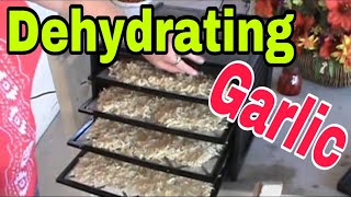 Dehydrating Garlic is easy to do [upl. by Geoff]