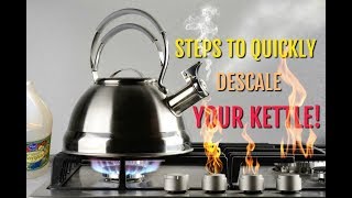 Steps to Quickly Descale Your Kettle  Result Is Affordable and Clean [upl. by Anallese]