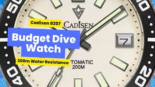 Cadisen 8207M A Quick Overview of this Budget Diver [upl. by Tonye]