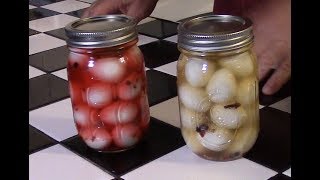 Making pickled quail eggs  Southern style [upl. by Irby]