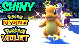 Shiny Charmander LIVE Reaction Pokemon Scarlet and Violet [upl. by Meeks]