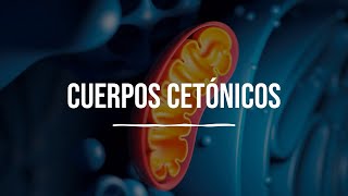 Cuerpos Cetónicos  Metabolismo de Lípidos  Bioquímica  Lic en Nutrición [upl. by Nairahcaz]