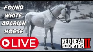 Found White Arabian Horse Red Dead Redemption 2 [upl. by Narra]