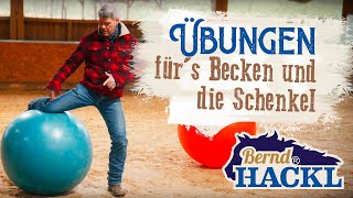 Beweglichkeit im Becken und den Schenkeln  Bernd Hackl erklärt 🐴 [upl. by Arihsat877]