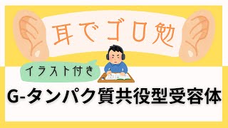 【医療系学生必見】Gタンパク質共役型受容体はゴロでサクッと覚えましょう！ [upl. by Fulmis899]