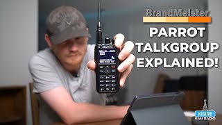 The Parrot Talkgroup EXPLAINED [upl. by Enamart]