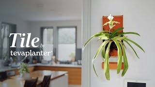 Now on Kickstarter Tile Grow Like Nature [upl. by Nednil]