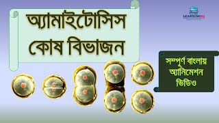 অ্যামাইটোসিস কোষ বিভাজন  Amitosis cell division  Bangla Animation Video  Learning24 [upl. by Zzabahs]