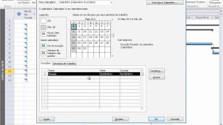 Project 2010  Calendario  Atribuindo Feriados [upl. by Unam840]