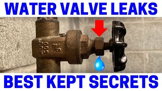 Leaky Water Valve  Easy Fix [upl. by Leinaj]