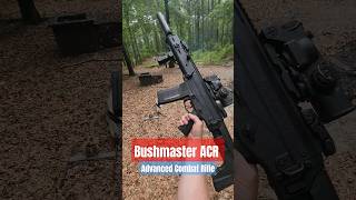 Bushmaster ACR  556mm Advanced Combat Rifle [upl. by Julissa]