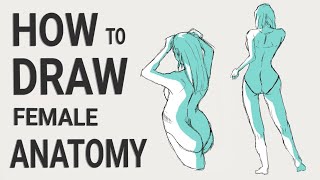 Easy Anime Girl ANATOMY Drawing  Easy To Draw [upl. by Alael363]