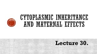 Lecture 30 Cytoplasmic inheritance PBG 201 [upl. by Ulla227]