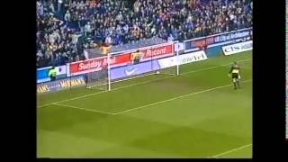 Stephane Guivarch best goals 2 [upl. by Nevlin]