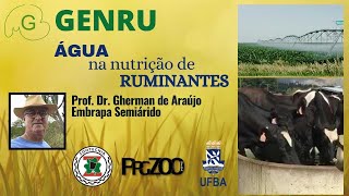 Água na Nutrição de Ruminantes  Gherman de AraújoEmbrapa Semiárido  REUNIÃO SEMANAL 8 [upl. by Graves]