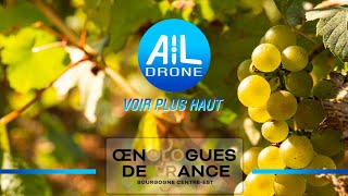 OENOLOGUES DE FRANCE FILM PROMOTIONNEL DRONE [upl. by Htebazle610]