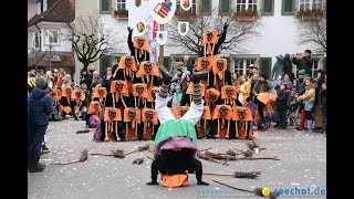 Narrenumzug in Langenargen am Bodensee 14012018 in 4K [upl. by Alehs]